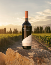 Load image into Gallery viewer, TERRAZAS RESERVA MALBEC 750ML